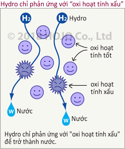 Hydro chỉ phản ứng với “oxi hoạt tính xấu”